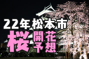 22年松本市の桜開花予想まとめ