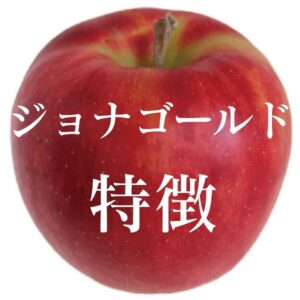 浅間温泉わいわい広場で買える信州リンゴ4．ジョナゴールド│特徴・味