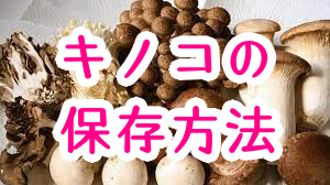 キノコの保存方法や長持ちさせる方法をご紹介│冷蔵保存・冷凍保存