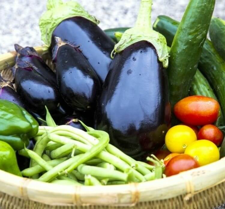 【夏野菜一覧2026】今が旬の夏野菜一覧！栄養価や10倍美味しく食べる方法と注意点について